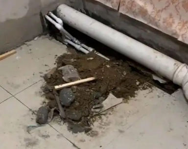 沿河卫生间漏水检测哪家好