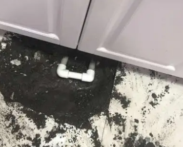 沿河查漏水哪家好